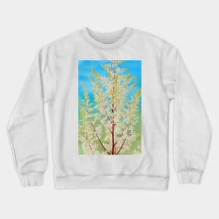 Astilbe  &amp;#39;Rock and Roll&amp;#39;  False goat&amp;#39;s beard Crewneck Sweatshirt